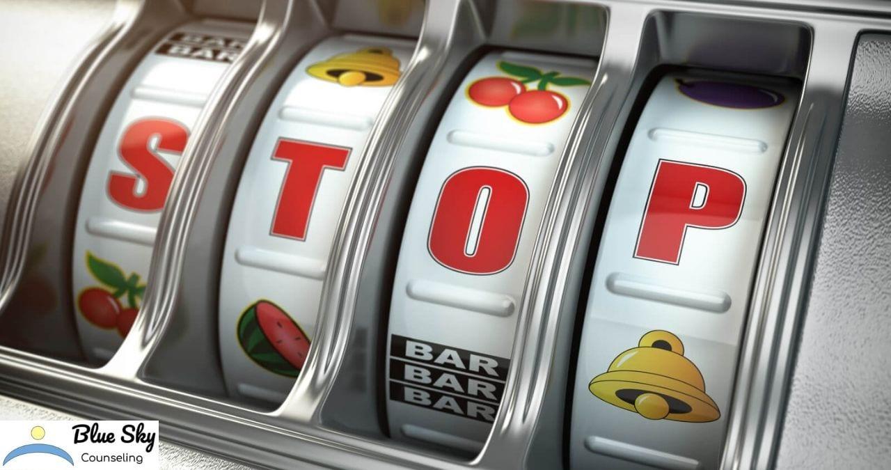 Khám phá me zing play và trải nghiệm giải trí tuyệt vời cùng me zing play